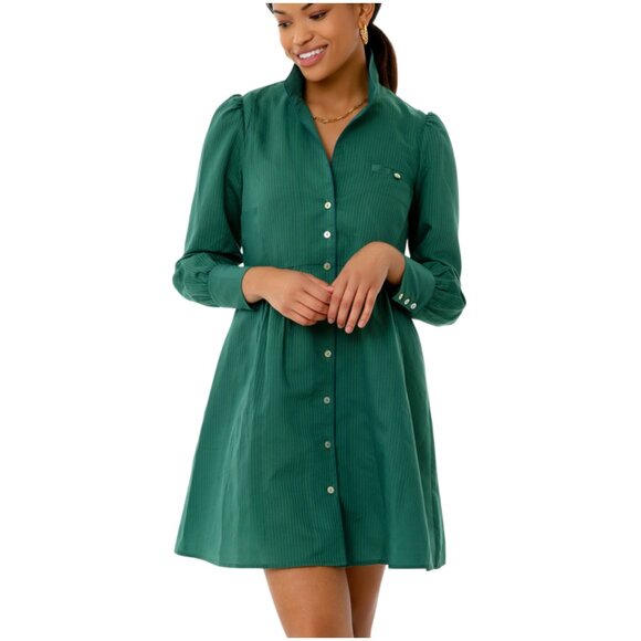 Tuckernuck Florence Shirt Dress size L large green stripe blue mini long sleeve - Picture 1 of 12